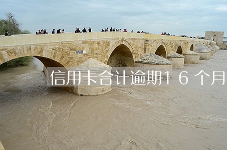信用卡合计逾期16个月能 信用卡合计逾期16个月能