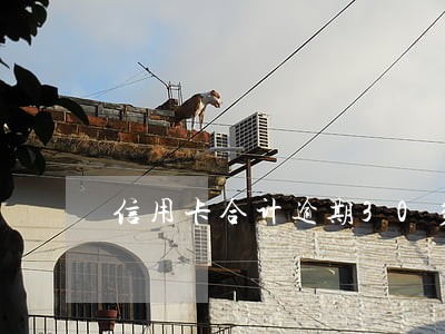 信用卡合计逾期30多万怎么办 信用卡合计逾期30多万怎么办