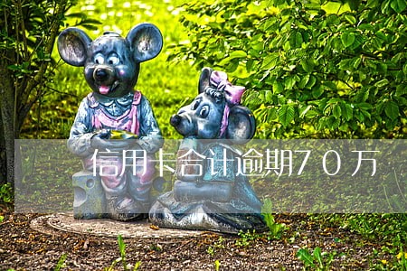 信用卡合计逾期70万