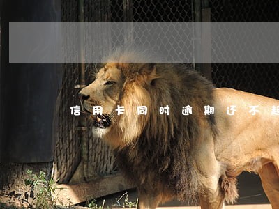 信用卡同时逾期还不起了怎么办