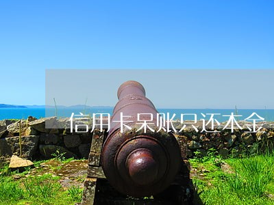 信用卡呆账只还本金 信用卡呆账只还本金