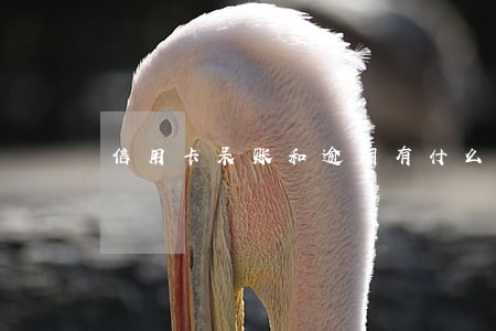 信用卡呆账和逾期有什么区别 信用卡呆账和逾期有什么区别