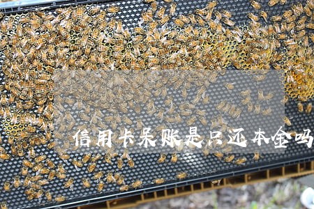 信用卡呆账是只还本金吗 信用卡呆账是只还本金吗