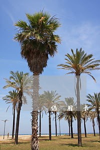 信用卡呆账有没有逾期金额 信用卡呆账有没有逾期金额