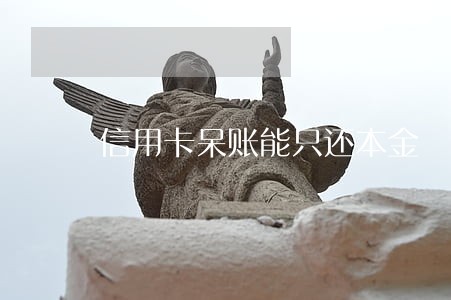 信用卡呆账能只还本金 信用卡呆账能只还本金