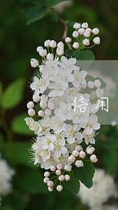 信用卡呆账转逾期后能贷款么