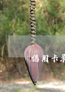 信用卡呆账还了以后会变成逾期