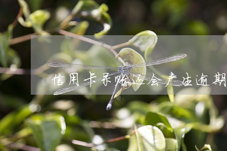 信用卡呆账还会产生逾期费吗