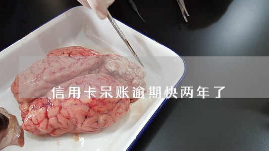 信用卡呆账逾期快两年了 信用卡呆账逾期快两年了
