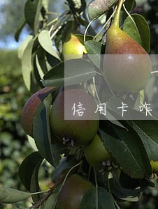 信用卡咋样查逾期 信用卡咋样查逾期
