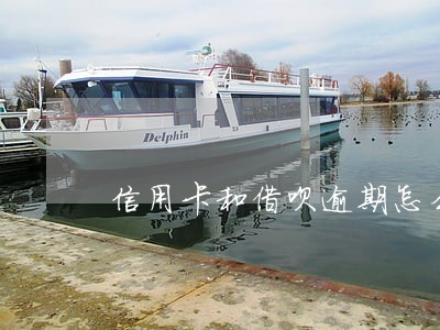 信用卡和借呗逾期怎么办 信用卡和借呗逾期怎么办