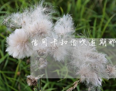 信用卡和借呗逾期那个严重 信用卡和借呗逾期那个严重