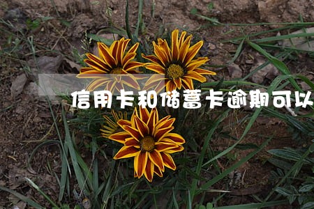信用卡和储蓄卡逾期可以汇款吗