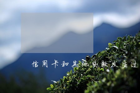 信用卡和其他贷款发生过逾期 信用卡和其他贷款发生过逾期