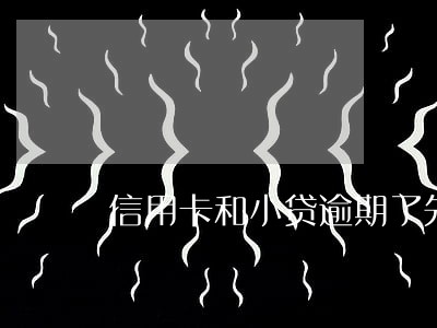 信用卡和小贷逾期了先还哪个
