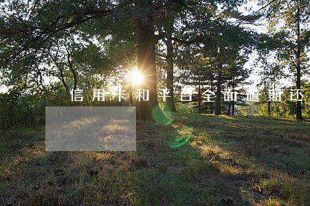 信用卡和平台全面逾期还不起了 信用卡和平台全面逾期还不起了