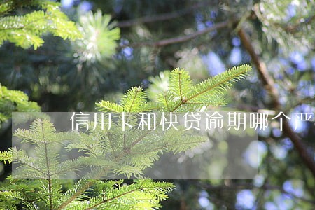 信用卡和快贷逾期哪个严重 信用卡和快贷逾期哪个严重