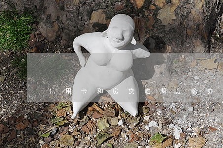 信用卡和房贷逾期怎么办 信用卡和房贷逾期怎么办