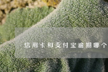 信用卡和支付宝逾期哪个重要 信用卡和支付宝逾期哪个重要