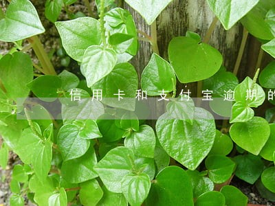 信用卡和支付宝逾期的后果 信用卡和支付宝逾期的后果
