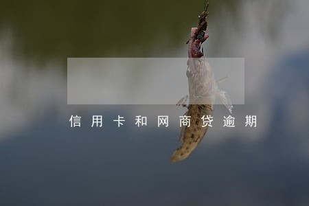信用卡和网商贷逾期
