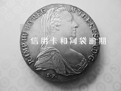 信用卡和网袋逾期 信用卡和网袋逾期