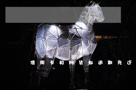 信用卡和网货都逾期先还哪个 信用卡和网货都逾期先还哪个