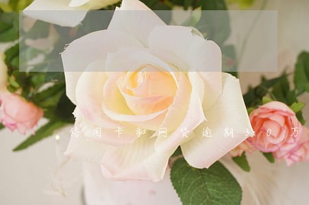 信用卡和网贷逾期30万 信用卡和网贷逾期30万