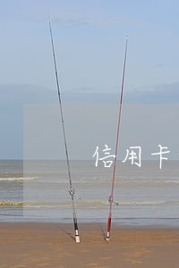 信用卡和网贷逾期两年没还怎么办 信用卡和网贷逾期两年没还怎么办