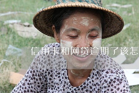 信用卡和网贷逾期了该怎么办 信用卡和网贷逾期了该怎么办