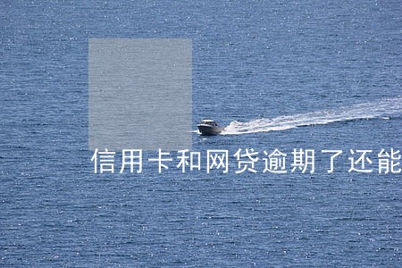 信用卡和网贷逾期了还能坦白吗