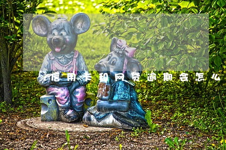 信用卡和网贷逾期会怎么样