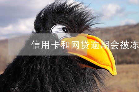 信用卡和网贷逾期会被冻结吗 信用卡和网贷逾期会被冻结吗