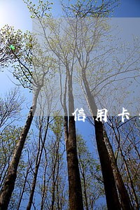 信用卡和网贷逾期后