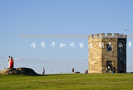 信用卡和网贷逾期怎么弄 信用卡和网贷逾期怎么弄