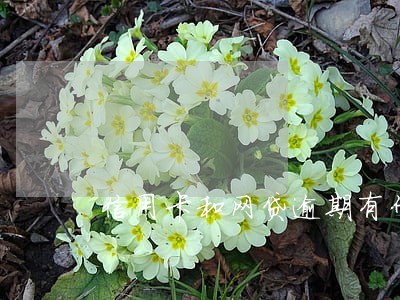 信用卡和网贷逾期有什么后果 信用卡和网贷逾期有什么后果