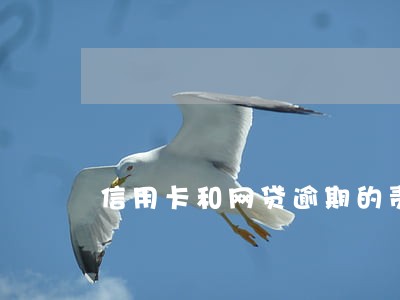 信用卡和网贷逾期的责任 信用卡和网贷逾期的责任