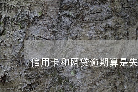信用卡和网贷逾期算是失信人吗