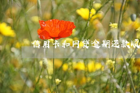 信用卡和网贷逾期还款顺序