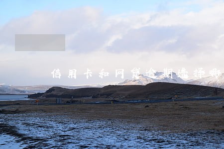 信用卡和网贷逾期选择哪个先还 信用卡和网贷逾期选择哪个先还