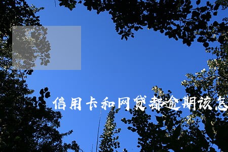 信用卡和网贷都逾期该怎么办 信用卡和网贷都逾期该怎么办