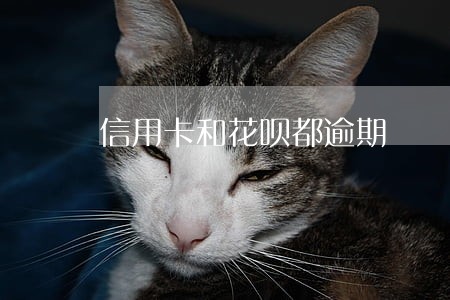 信用卡和花呗都逾期 信用卡和花呗都逾期