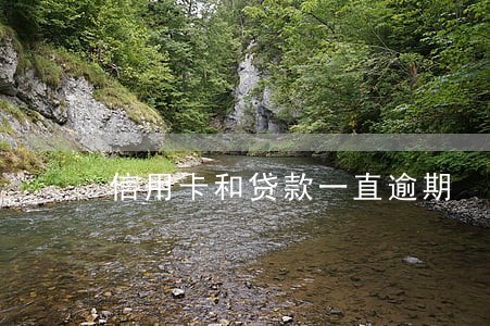 信用卡和贷款一直逾期 信用卡和贷款一直逾期