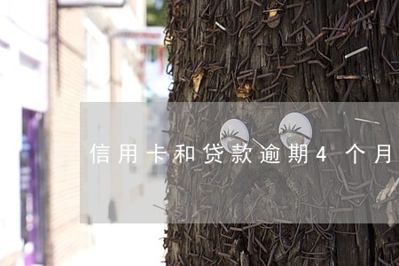 信用卡和贷款逾期4个月了