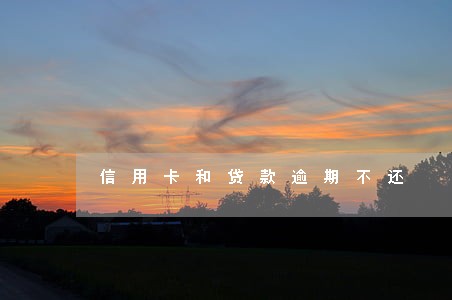 信用卡和贷款逾期不还