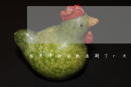 信用卡和贷款逾期了5次
