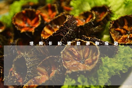 信用卡和贷款逾期保留 信用卡和贷款逾期保留