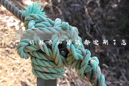 信用卡和贷款都逾期了怎么办 信用卡和贷款都逾期了怎么办