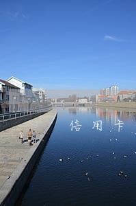 信用卡和车贷逾期先还哪个 信用卡和车贷逾期先还哪个