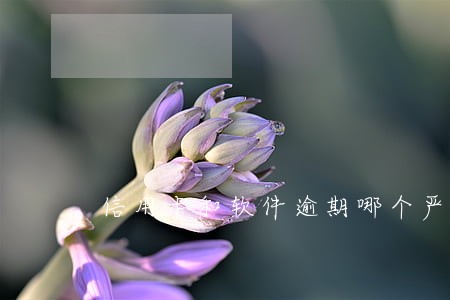 信用卡和软件逾期哪个严重 信用卡和软件逾期哪个严重